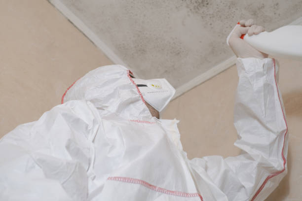 Best Mold Removal Process  in Lorado Springs, CO